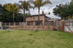 PXL_20240426_182044375