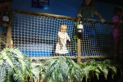 IMG_20230816_105458651