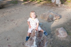 IMG_20230816_175059592