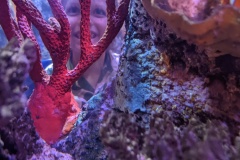 PXL_20230807_021927109