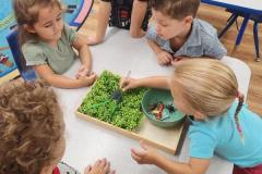 IMG_20240819_193013685