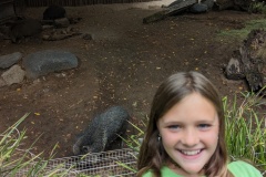 PXL_20250804_151333226