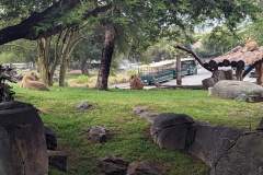 PXL_20250804_153704804