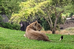 PXL_20250804_153753317