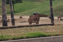 PXL_20250804_155019501