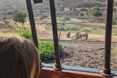 PXL_20250804_160256968