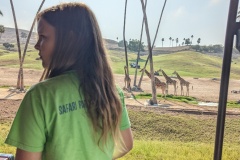 PXL_20250804_161034178