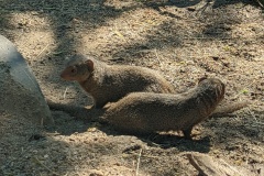 PXL_20250804_170401931