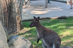 PXL_20250804_175014325