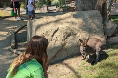 PXL_20250804_175034937