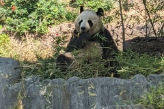 PXL_20250805_164646412