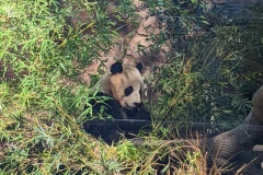 PXL_20250805_165231637