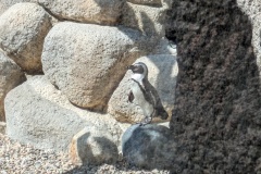 PXL_20250805_171559678