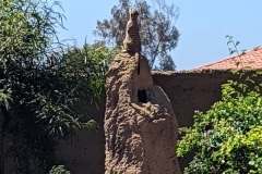 PXL_20250805_184259550