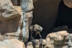 PXL_20250805_184751093