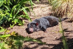 PXL_20250805_190722597