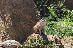 PXL_20250805_192232917