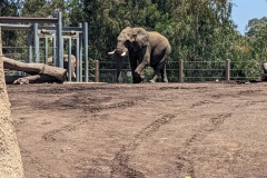 PXL_20250805_193703412