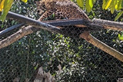 PXL_20250805_194146026