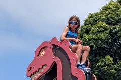 PXL_20250814_192541460