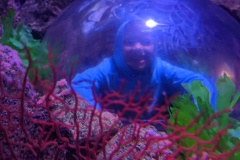 PXL_20250815_010641909