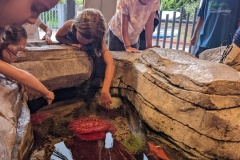 PXL_20250815_011402431