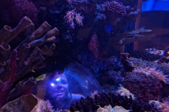 PXL_20250815_012825298