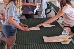 PXL_20250815_193148822