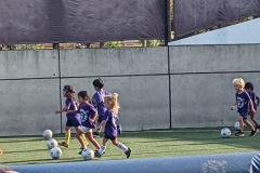 PXL_20250822_003501558