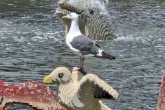 20260812_135035