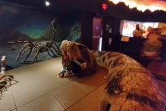IMG_20230224_152109079