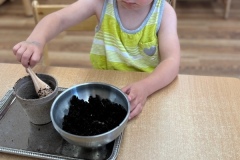 IMG_20240712_084859635