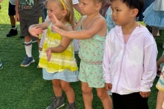 IMG_20240712_132356953