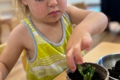 IMG_20240712_132421832