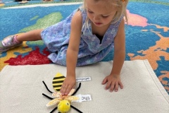 IMG_20250707_153753250