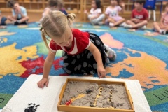 IMG_20250709_195814007