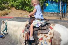 IMG_20250711_151716277