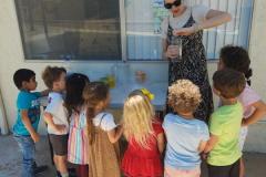 IMG_20250725_154454582