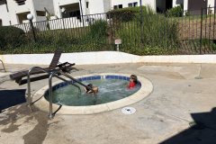 IMG_20250725_195824