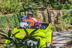 PXL_20250705_171042283