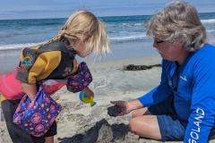 PXL_20250716_175945826