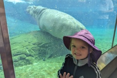 PXL_20250717_171048667