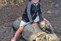 PXL_20250717_175426164