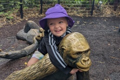 PXL_20250717_175557241