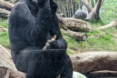 PXL_20250717_181625418