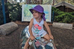 PXL_20250717_192526949