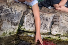 PXL_20250718_212208291