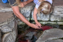 PXL_20250718_213006417.MP_