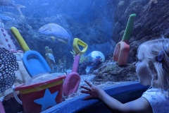 PXL_20250718_213608440