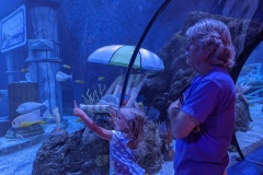 PXL_20250718_214320271